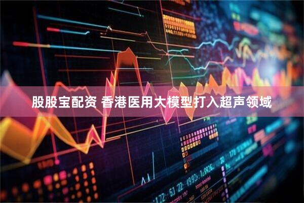 股股宝配资 香港医用大模型打入超声领域