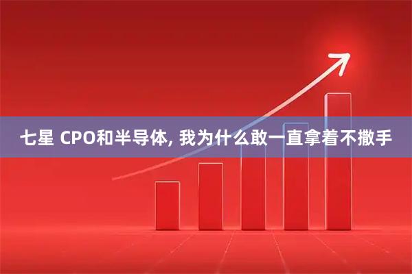 七星 CPO和半导体, 我为什么敢一直拿着不撒手