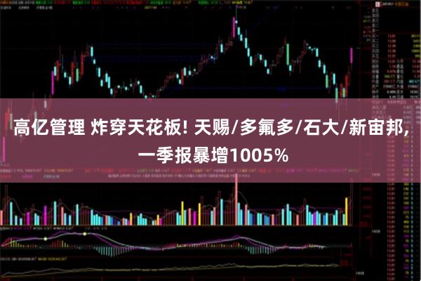 高亿管理 炸穿天花板! 天赐/多氟多/石大/新宙邦, 一季报暴增1005%